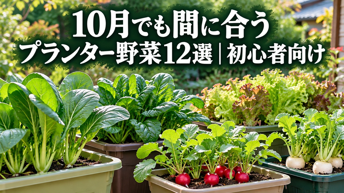 10月でも間に合うプランター野菜12選｜初心者向け