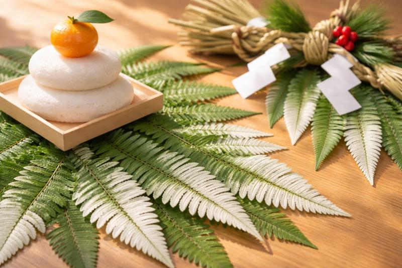 正月飾りシダ植物の疑問解消：裏白の意味と向き・付け方