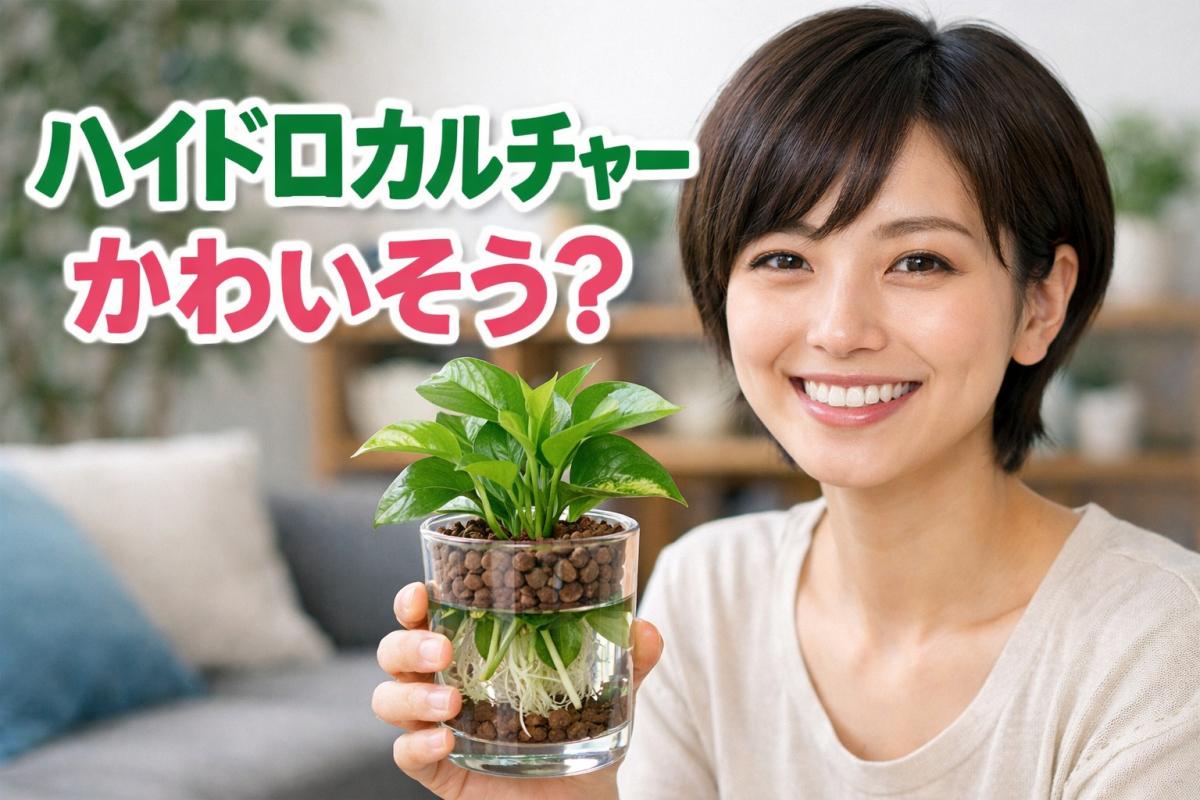 ハイドロカルチャー かわいそう？原因と対策と管理の要点完全版
