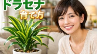 ドラセナ育てかた悩んでる人|水やり頻度・剪定・冬越しのコツ