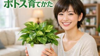 室内で元気に育つポトス育てかた日当たり水やり温度管理のコツ