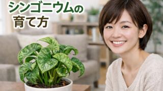 初心者向けシンゴニウム育て方完全ガイド