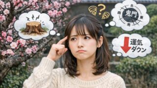 梅の木 切ってはいけない?祟り・風水の真相と剪定時期|花芽を守る切り方