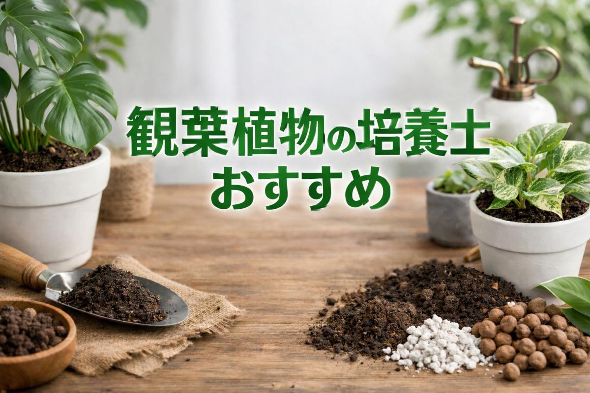 観葉植物の培養土おすすめ｜室内で虫が湧きにくい・根腐れしにくい土選び方