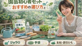 園芸初心者セットおすすめの選び方と失敗しない始め方ガイド