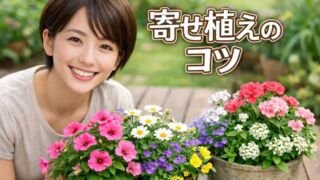 寄せ植えのコツは？初心者向けに作り方・配置・水やり・長持ちの管理まで解説