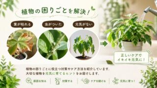 トラブル対策