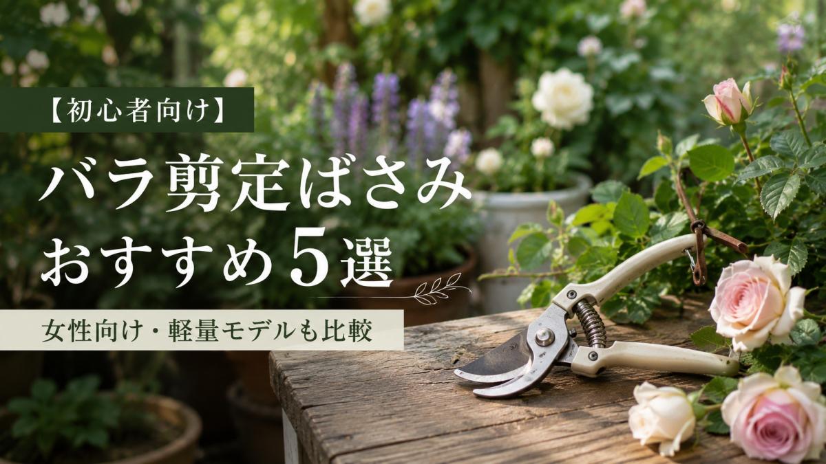 【初心者向け】バラ剪定ばさみおすすめ5選｜女性向け・軽量モデルも比較