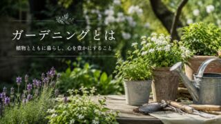 ガーデニングとは？初心者必見！土選び・水やり・虫対策の要点