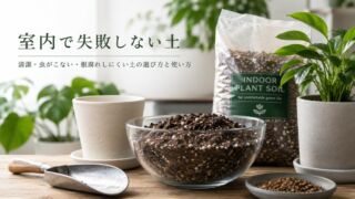 室内で失敗しない土/虫・根腐れ対策