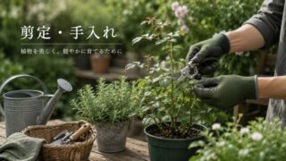 剪定・手入れの方法