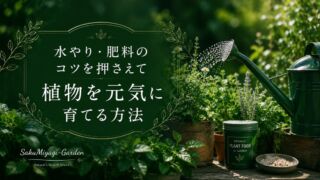 水やり・肥料のコツを押さえて植物を元気に育てる方法