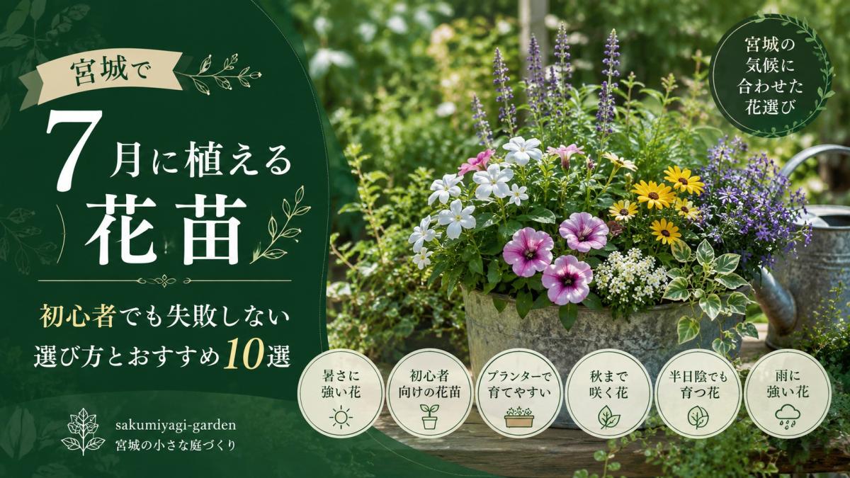 宮城で7月に植える花苗｜初心者でも失敗しない選び方とおすすめ10選