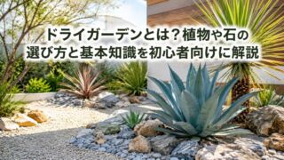ドライガーデンとは？植物や石の選び方と基本知識を初心者向けに解説