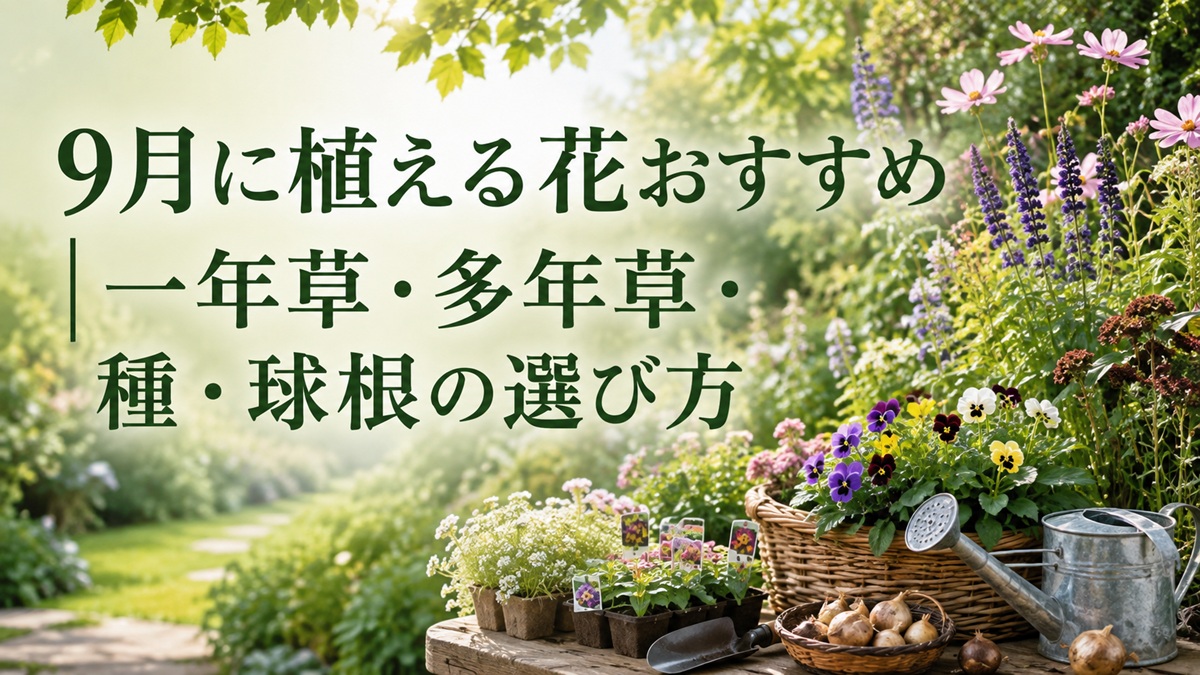 9月に植える花おすすめ｜一年草・多年草・種・球根の選び方