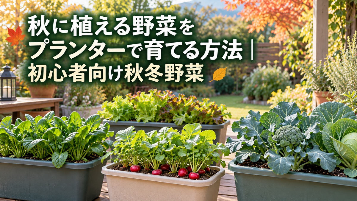 秋に植える野菜をプランターで育てる方法｜初心者向け秋冬野菜