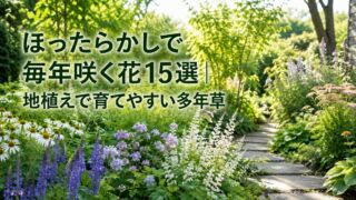 ほったらかしで毎年咲く花15選｜地植えで育てやすい多年草